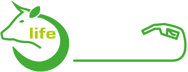 LIFE Superbiodiesel Project